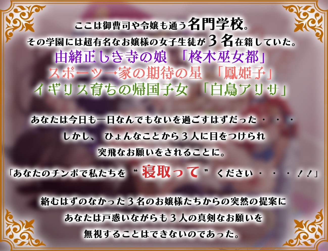 【期間限定価格110円】学園のご令嬢3人娘は婚約者と別れるために貴方の子どもを孕みたい【お願いNTR】 [脳汁ドロップ]